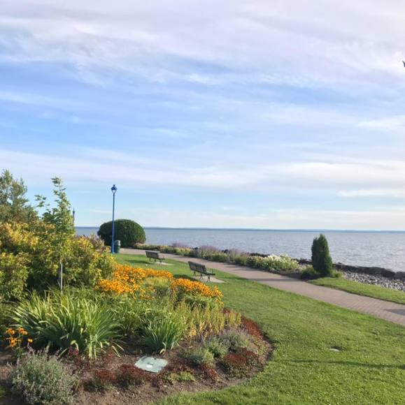 Meet your Posher, David - Picture 1 of 1